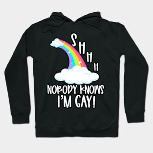 Knows Im Gay Pride Stuff Coming Out LGBTQ Hoodie